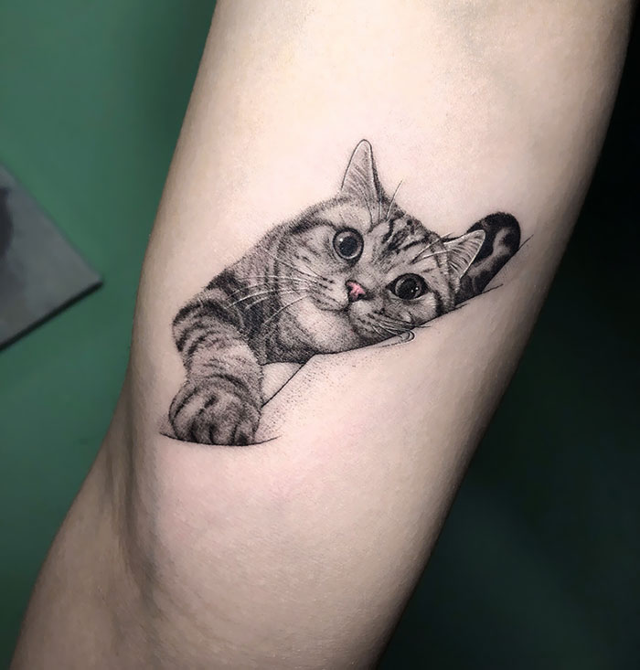 tatuagens de gatinho realistas