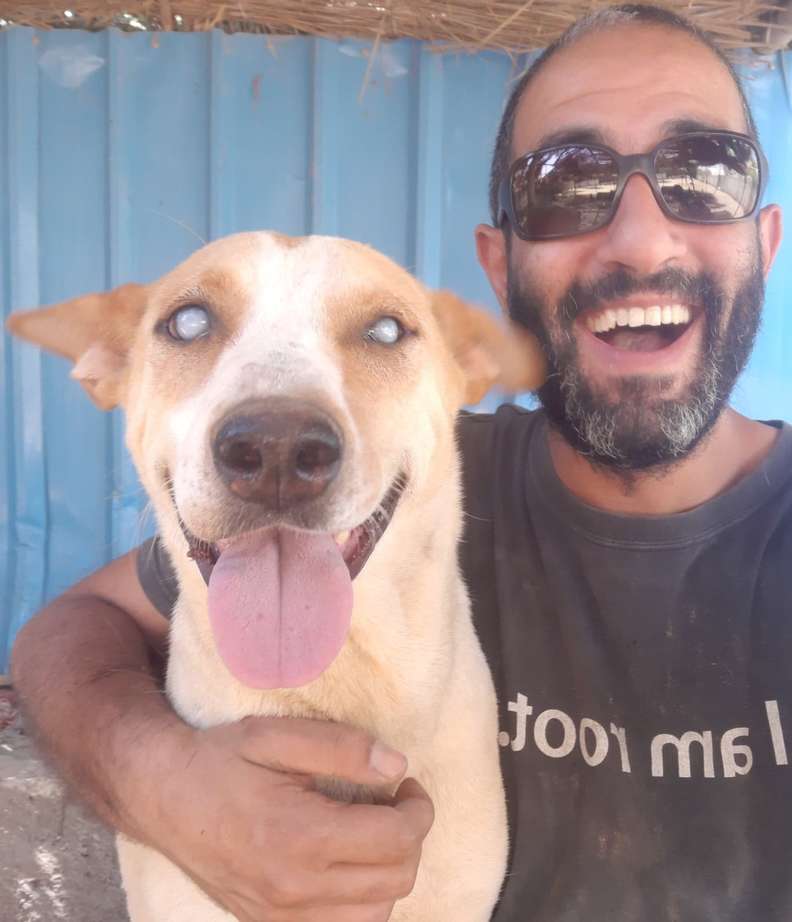 Cachorro cego feliz