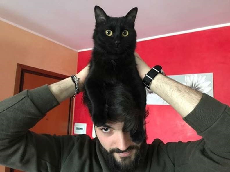Gatinha que não gosta de brincadeiras tiktok