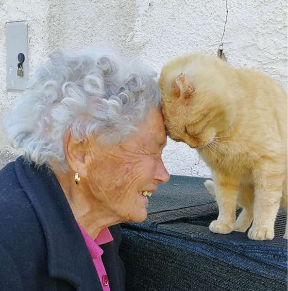 Idosa reencontra gatinho perdido há anos