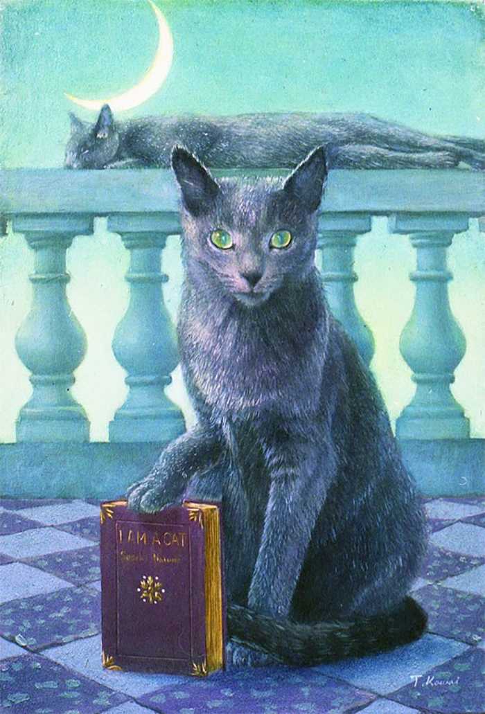 Gatos se transformam em membros da realeza pinturas