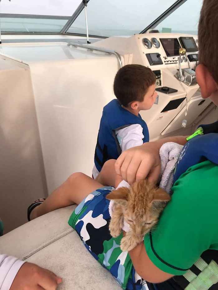 barco de pesca resgata gato no mar