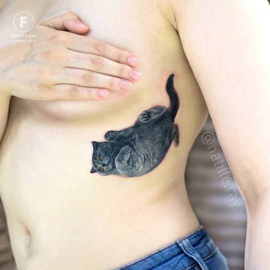 melhores tatuagens gatos