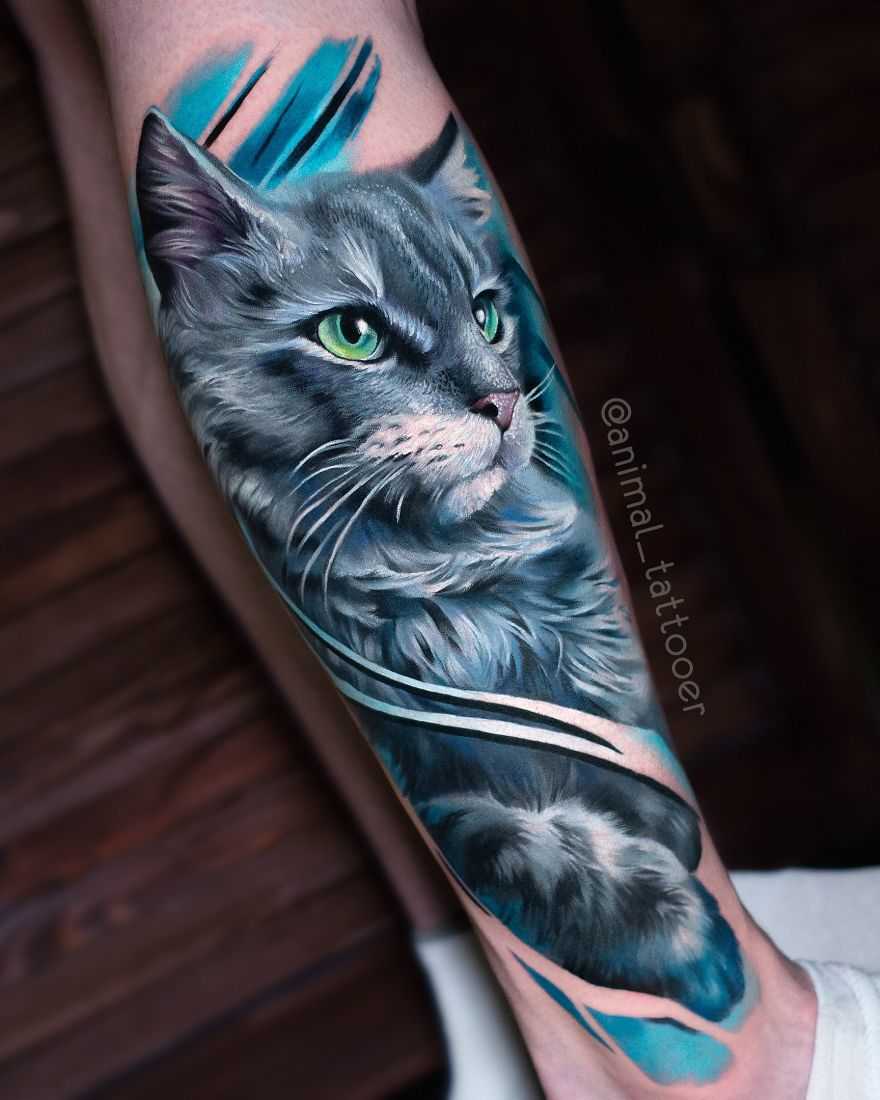 tatuagens realistas de gatos com cor