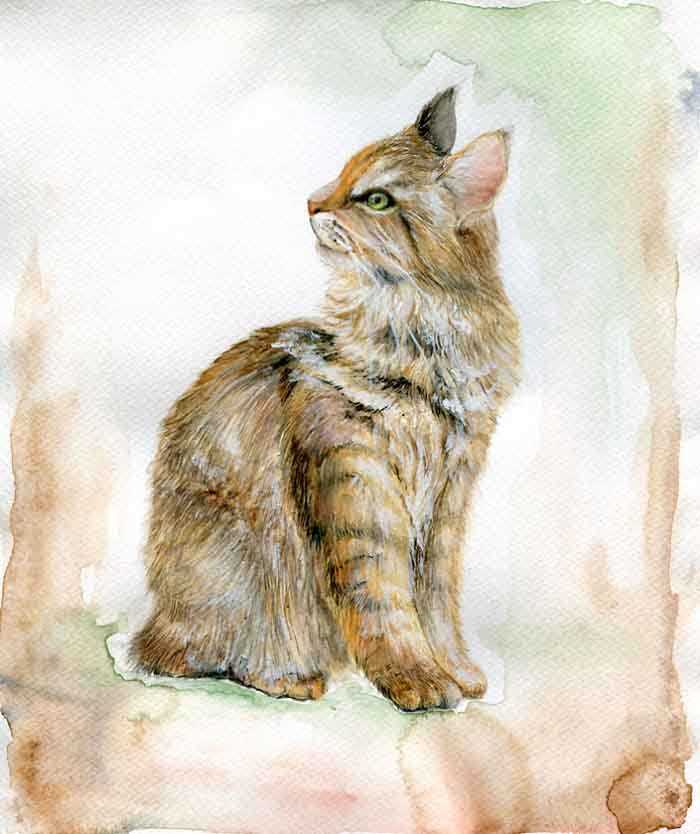 Artista reproduz gatinhos estilos diferentes