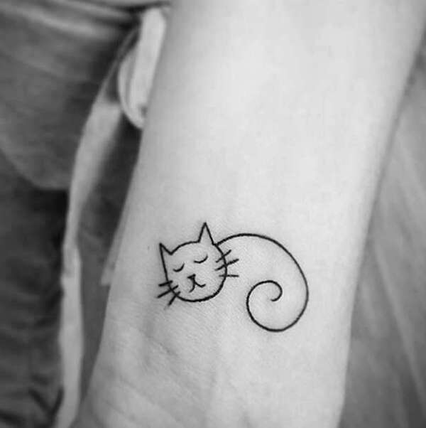 gato tatuagem