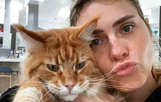 gatos de famosos