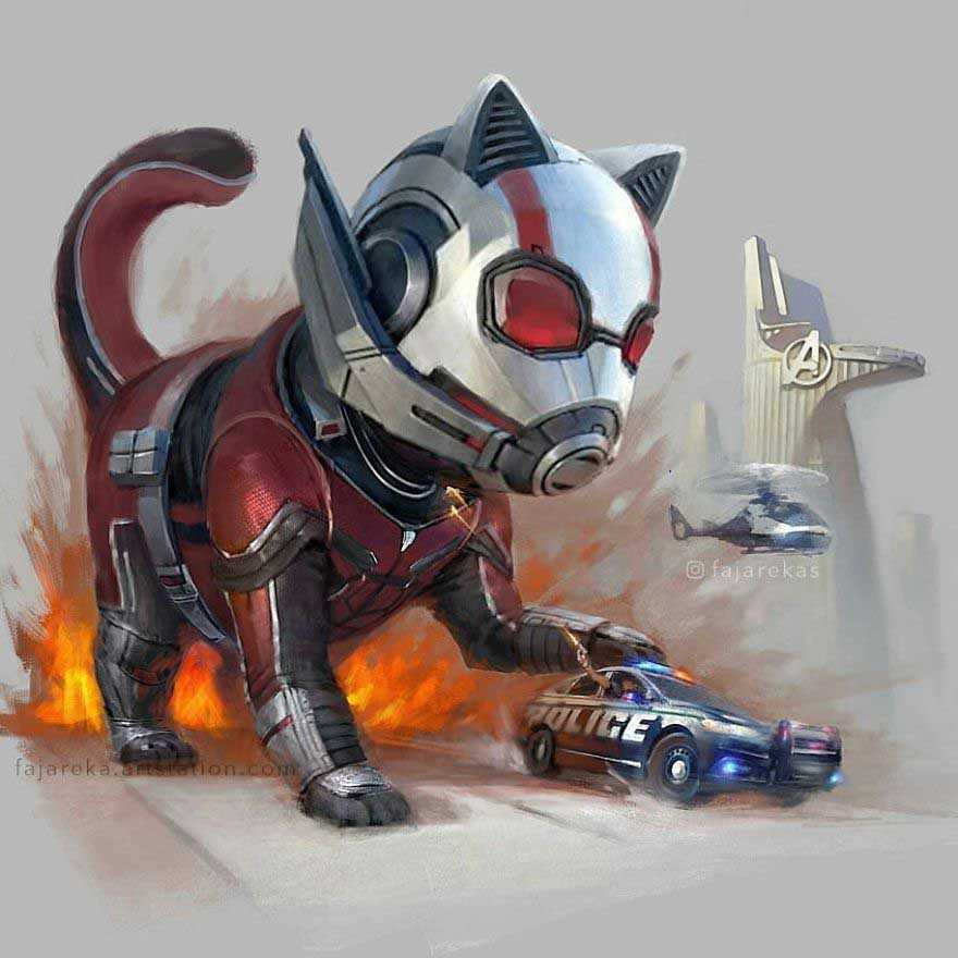 gatos marvel dc