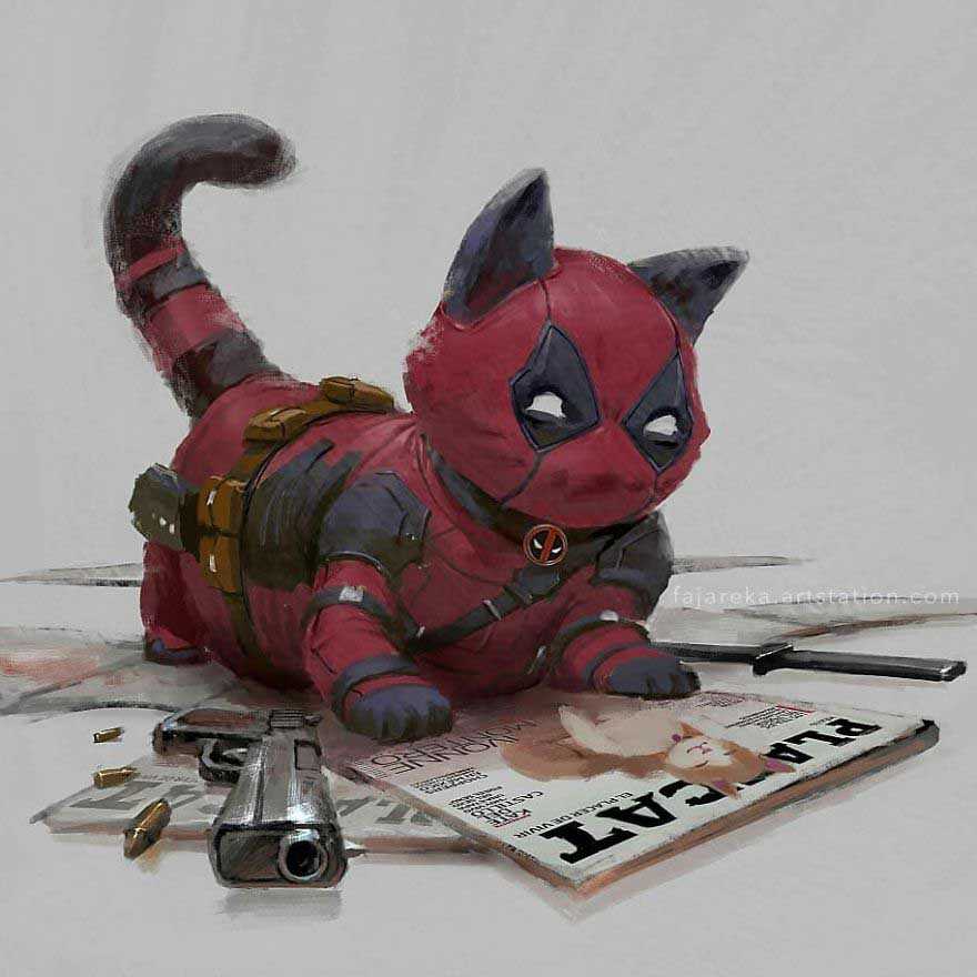ilustrações gatos