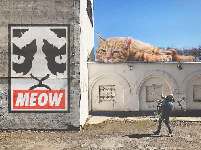 maiores felinos