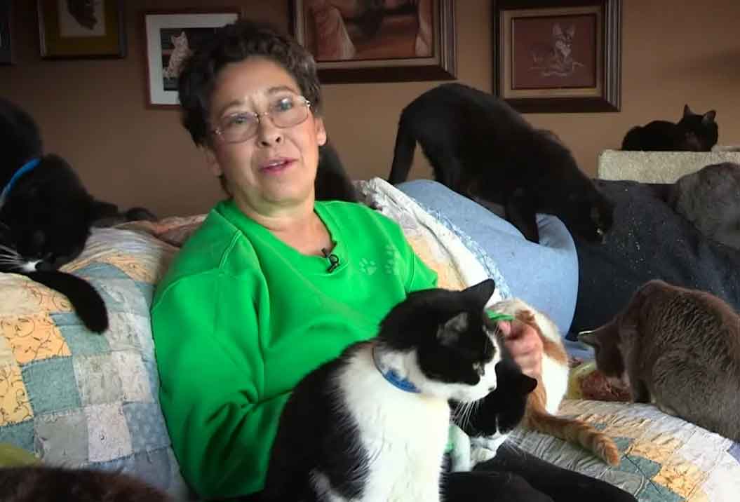 mulher-dos-gatos