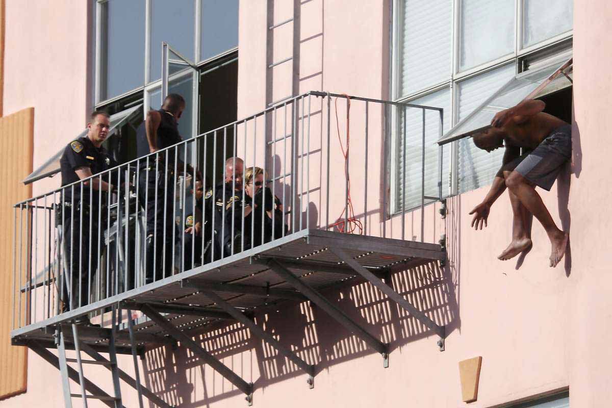 Homem-desiste-de-suicídio-gatinho