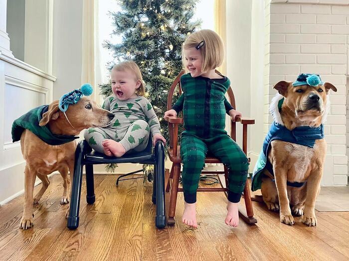 cachorros e seus humanos crianças