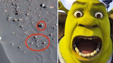 Ufólogo diz ter encontrado fóssil com formato do Shrek em “Marte”