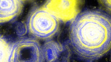 Enxames de bactérias mutantes se parecem com a ‘Noite Estrelada’ de Van Gogh