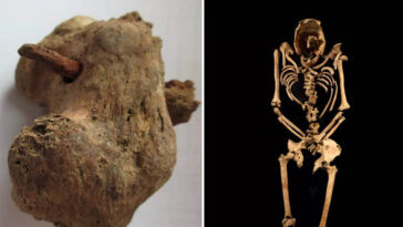 Raras evidências de crucificação foram descobertas em esqueleto no Reino Unido