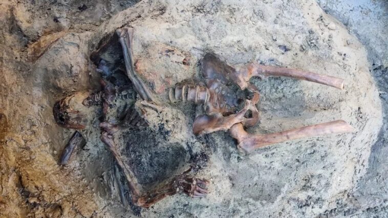 Esqueleto de homem monte vesúvio