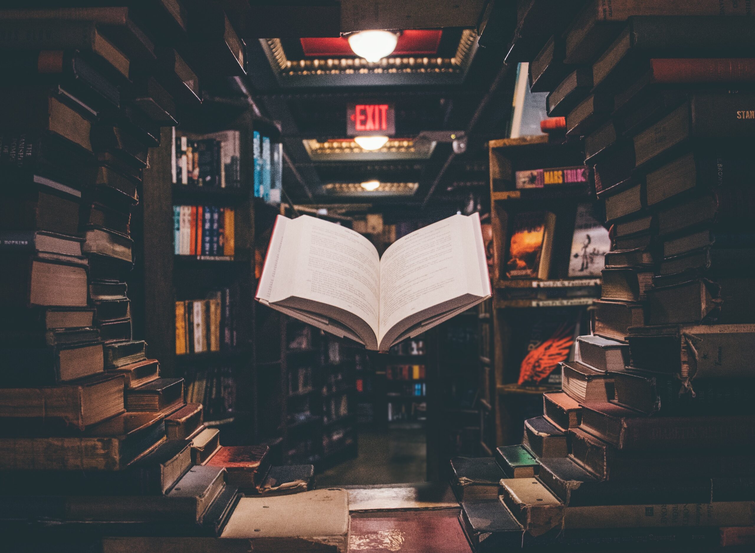 Quais São os Livros Mais Assustadores de Todos os Tempos?