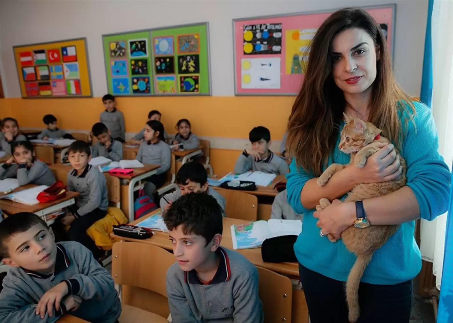 gatinho sala de aula professora