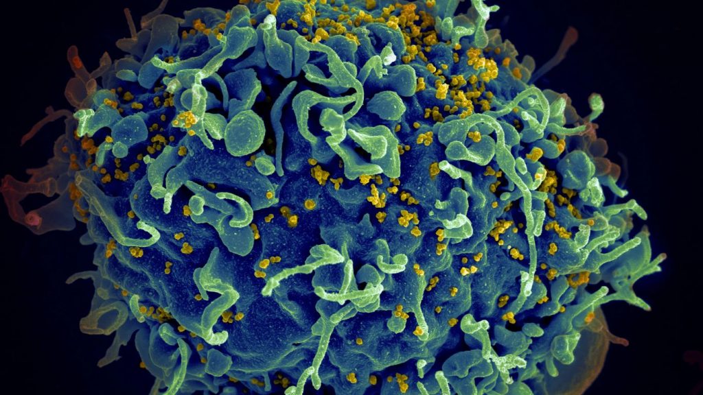 Estudo com 1.000 casais mostra que tratamento para HIV eliminou todo risco de transmissão do vírus